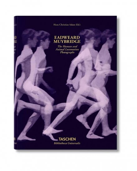 The Human and Animal Locomotion