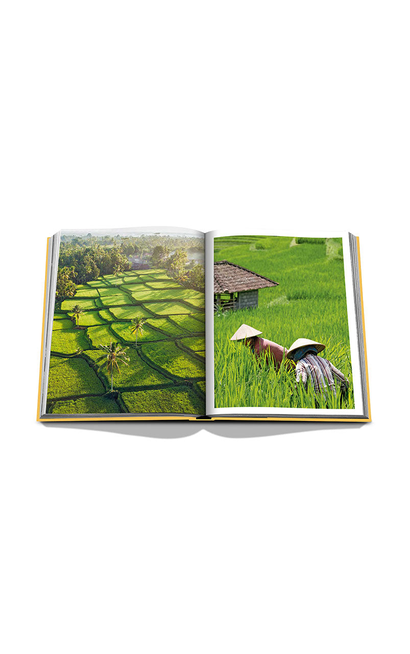Bali Mystique