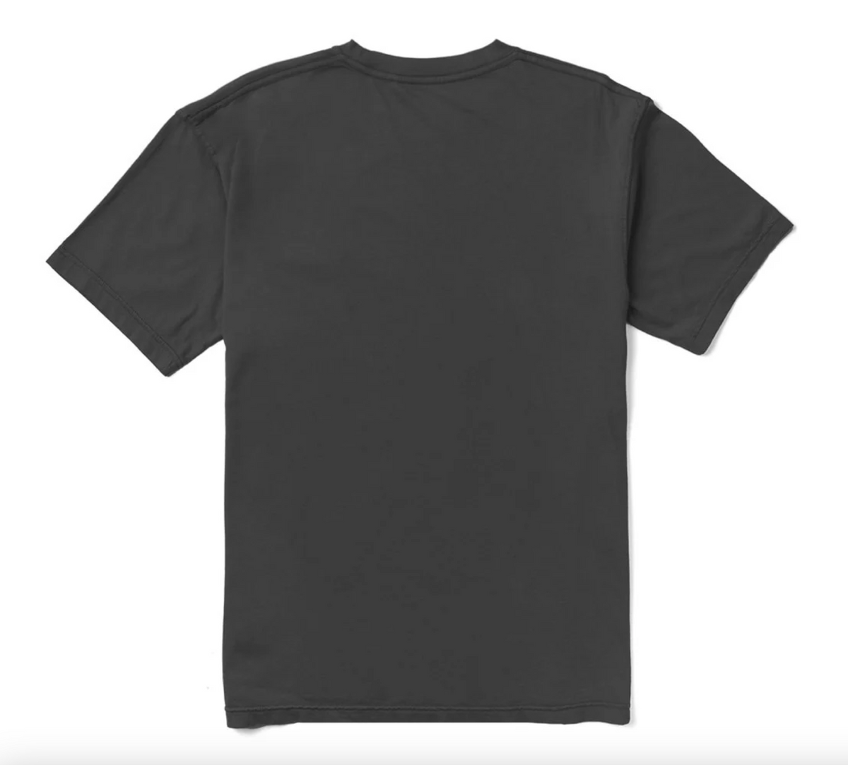 Established Premium Organic PKT Tee-PHA