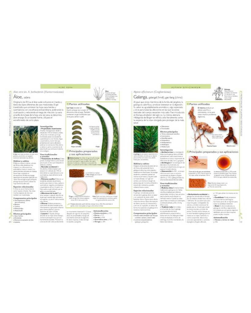 Enciclopedia de Plantas Medicinales