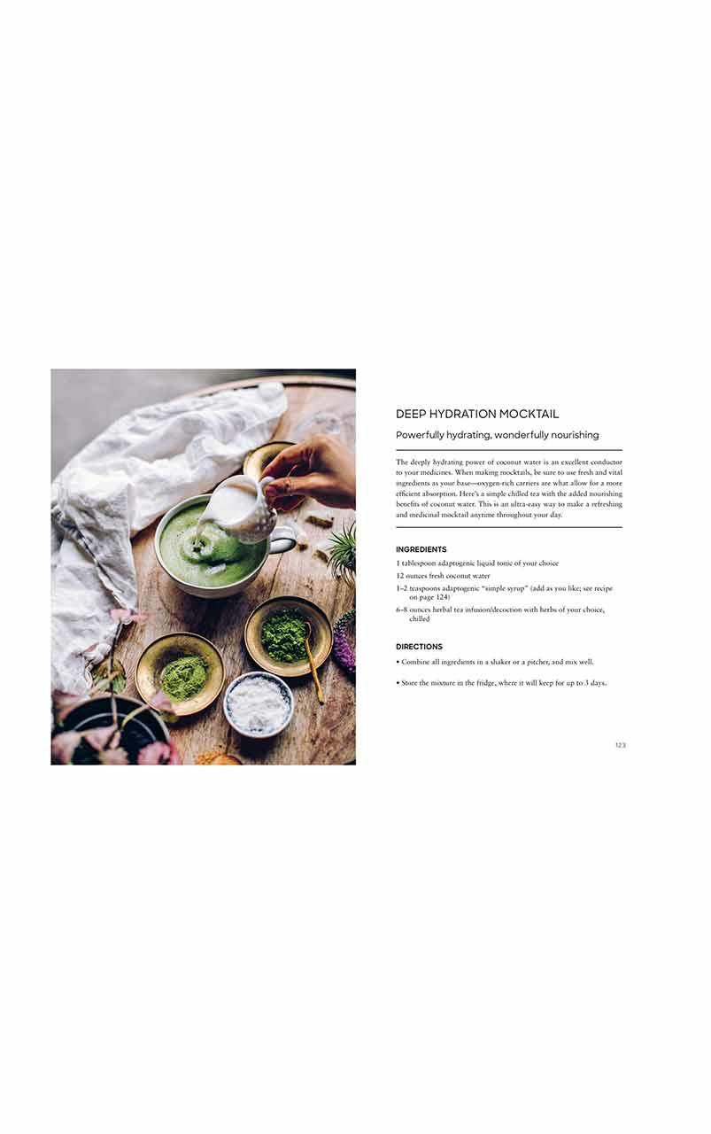 ADAPTOGENS Book | Ritual Wellness - Adriana Ayales (EN Version)