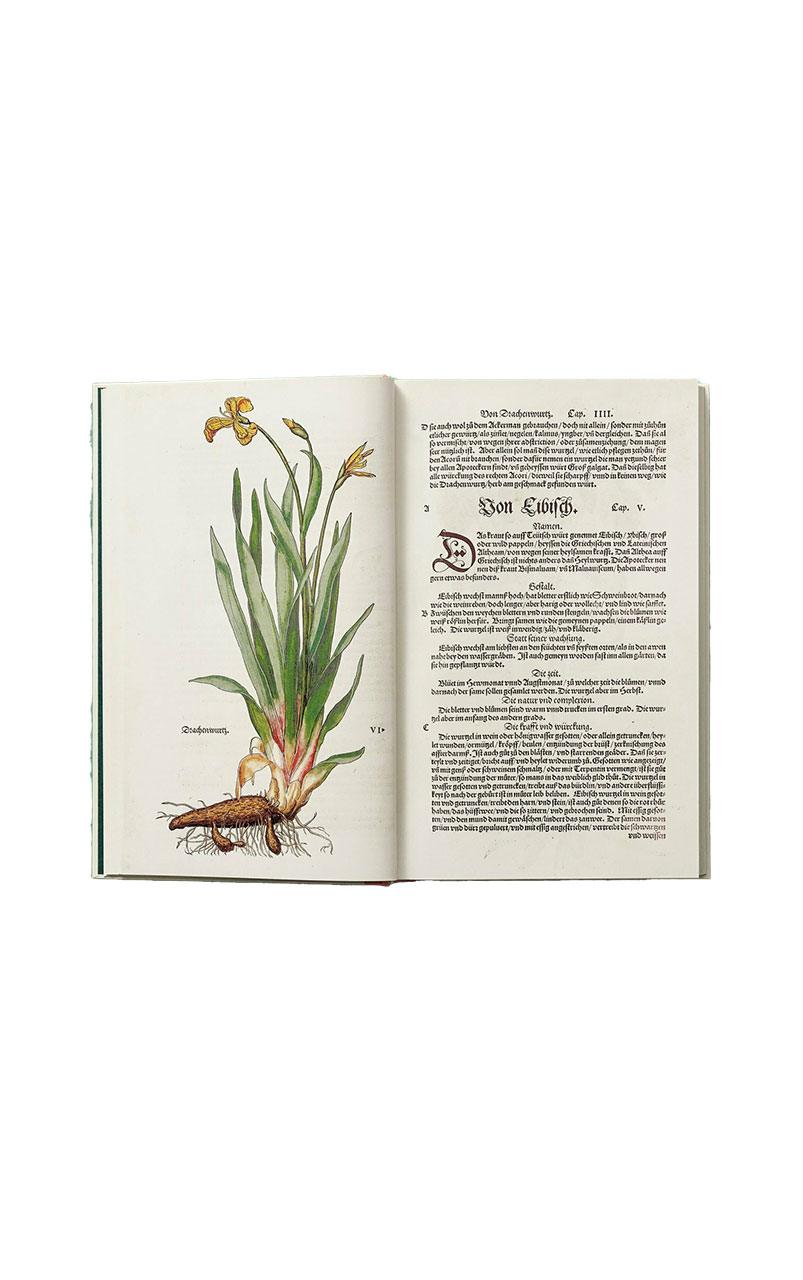 LEONHART FUCHS THE NEW HERBAL
