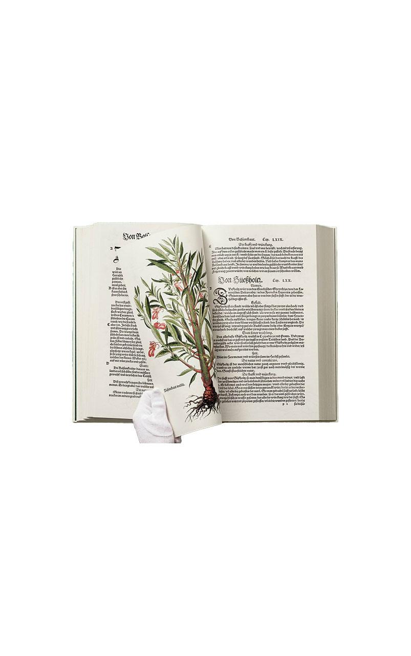 LEONHART FUCHS THE NEW HERBAL