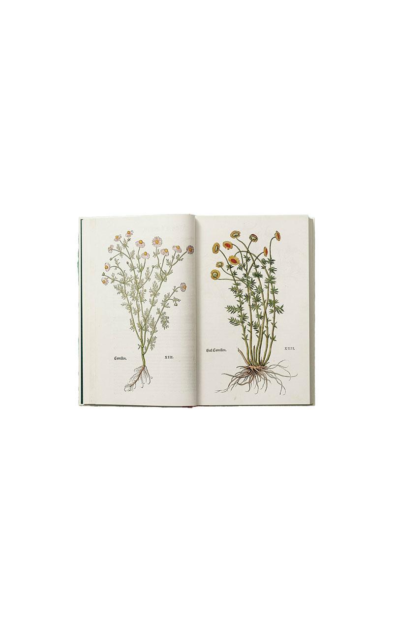 LEONHART FUCHS THE NEW HERBAL