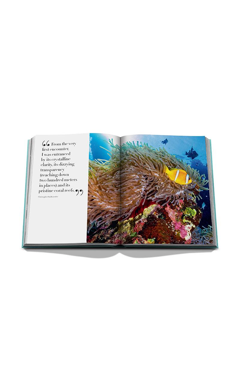Red Sea: The Saudi Coast