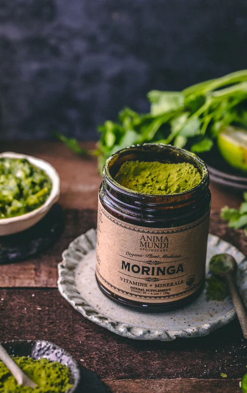 MORINGA | Super-Tonic