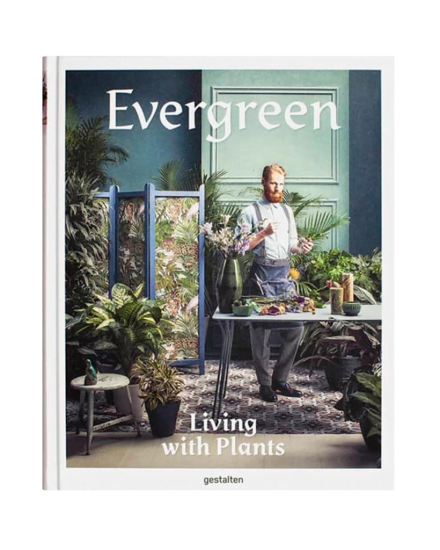 Evergreen
