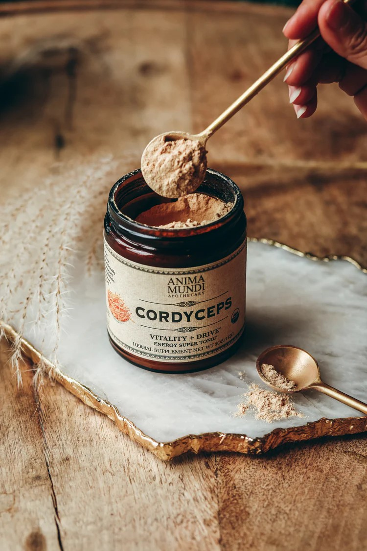 CORDYCEPS | Energy Super Tonic
