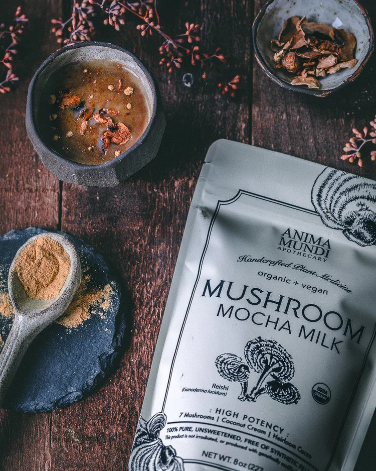 MUSHROOM MOCHA MILK | Longevity Milk