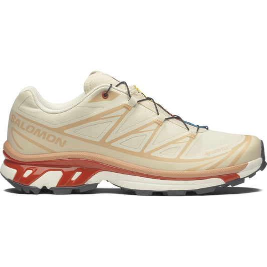 XT-6 GTX Almilk/Softc/Burnt