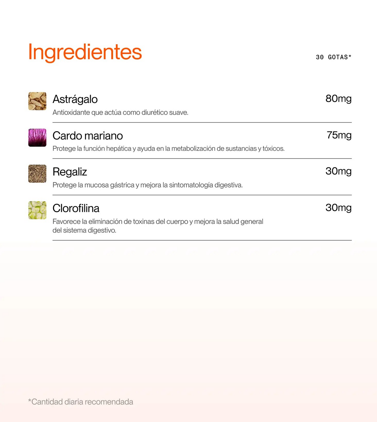 CLEAN | Clean Detox