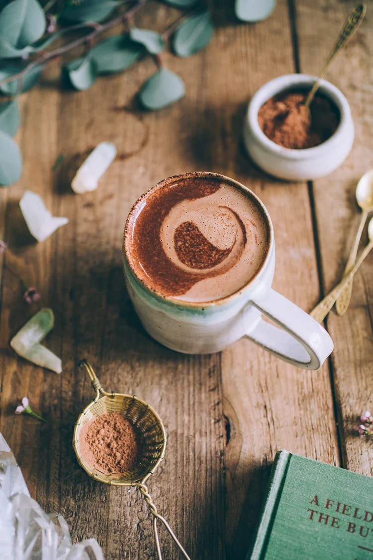 MUSHROOM MOCHA MILK | Longevity Milk