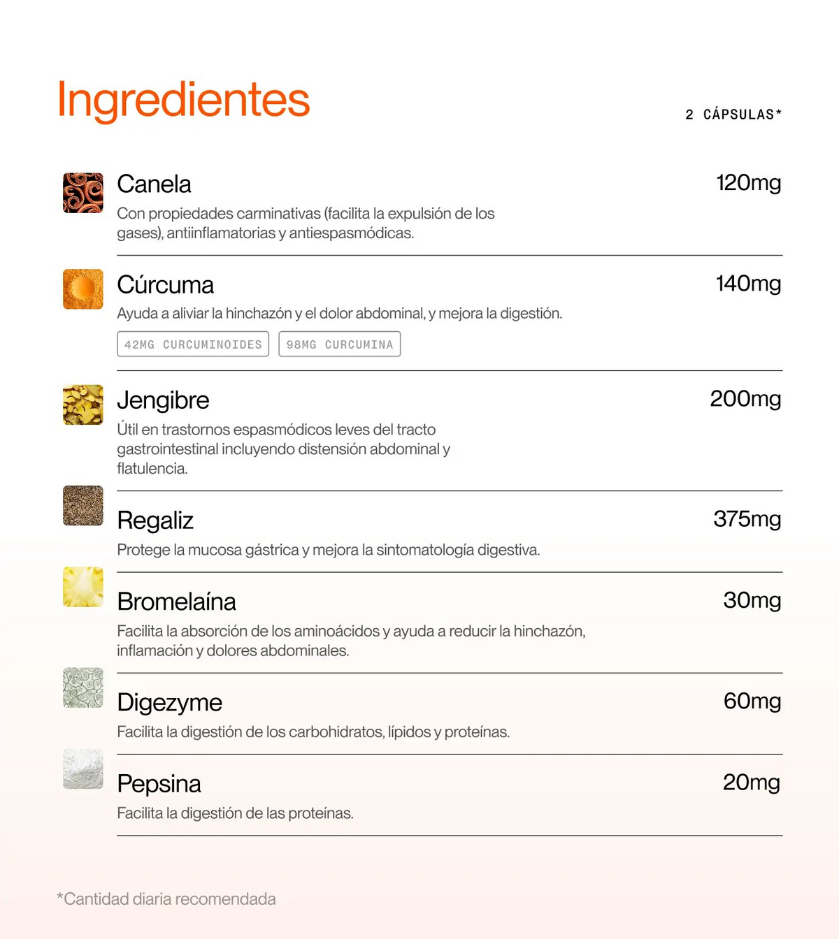 DIGEST ON | Digest